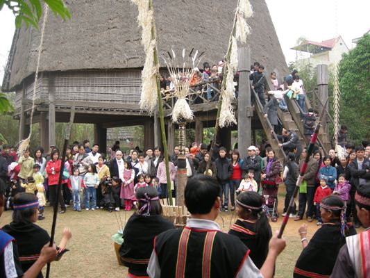 Enjoying the Year of the Tiger at the Vietnam Museum of Ethnology